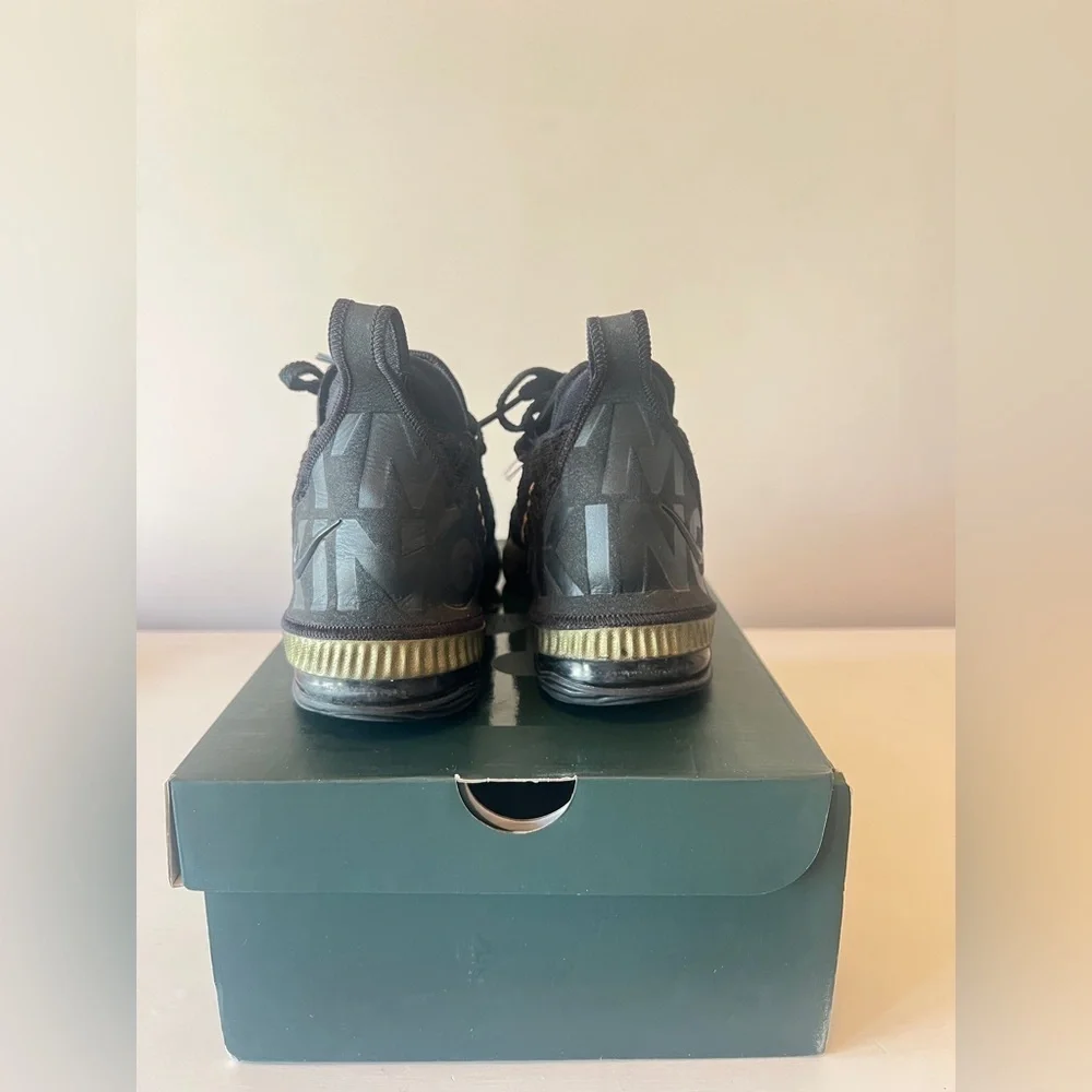 Nike LeBron James XVI Shoes